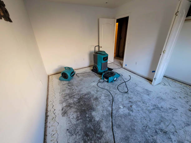 Best Emergency water extraction  in Fairfield, AL