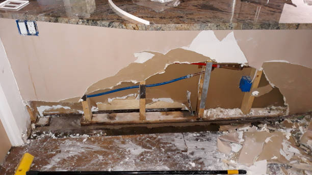 Best Basement water damage restoration  in Fairfield, AL
