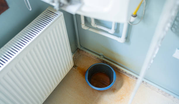 Best Water damage mitigation services  in Fairfield, AL
