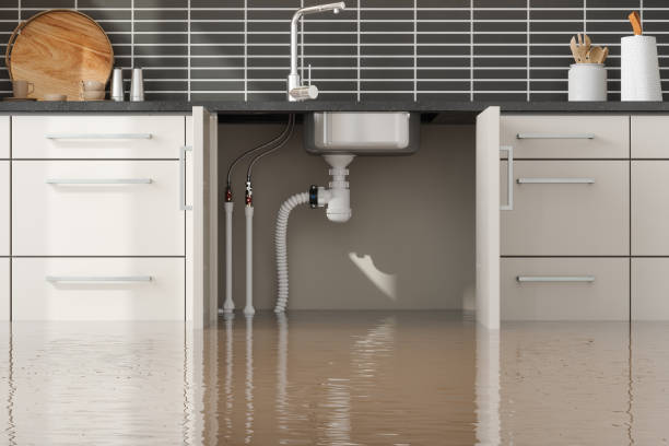 Water damage restoration mold remediation in Fairfield, AL