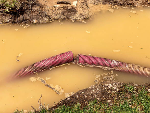 Best Carpet water damage restoration  in Fairfield, AL