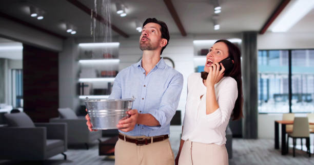 Best Local water damage restoration  in Fairfield, AL